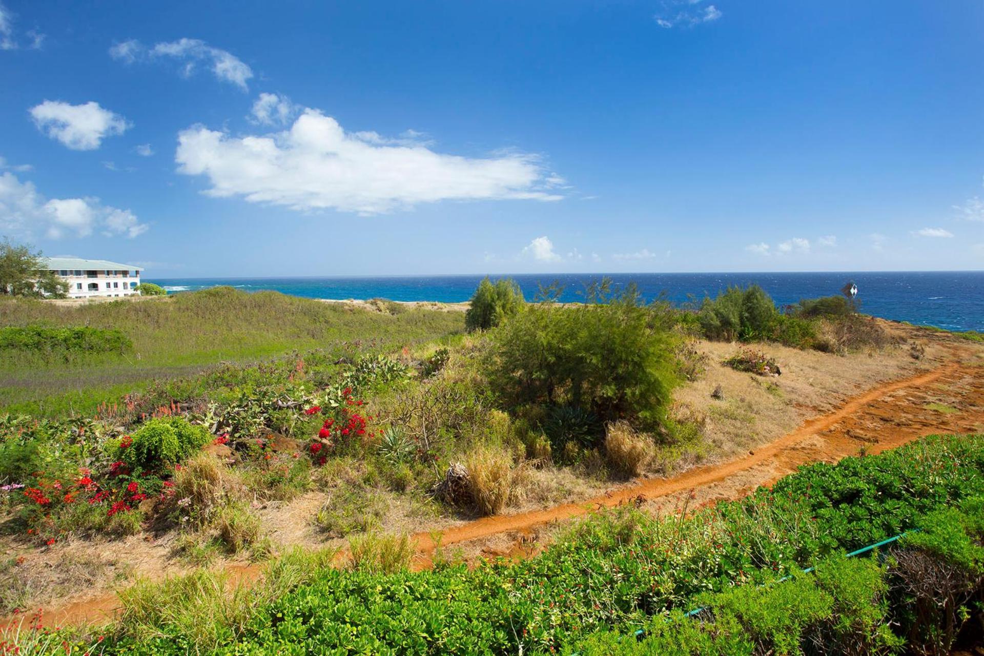 Appartement Castle At Makahuena At Poipu à Koloa Extérieur photo